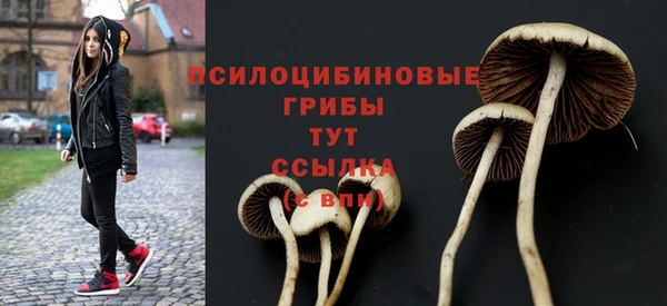 сатива Алзамай
