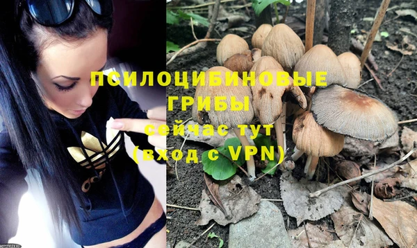 a pvp Алексин