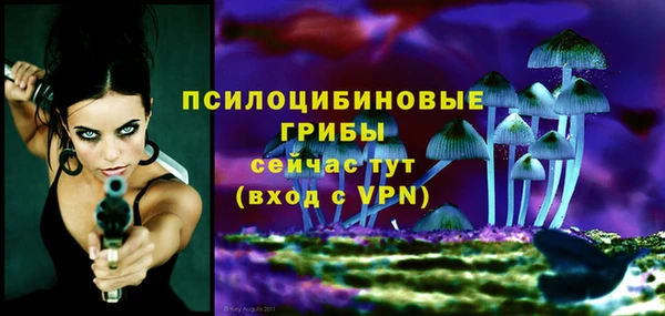 ECSTASY Алексеевка