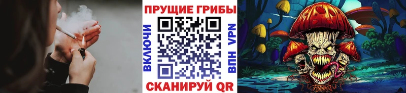 Галлюциногенные грибы MAGIC MUSHROOMS  площадка клад  Бежецк 